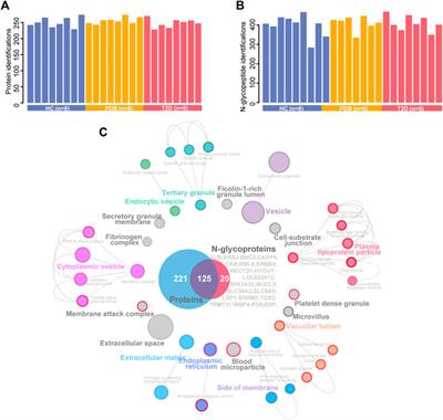 Identification of Dysregulated Complement Activation Pathways Driven by N-Glycosylation Alterations in T2D Patients